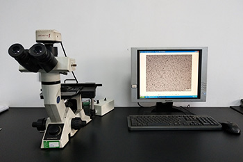 奥林巴斯金相显微镜
